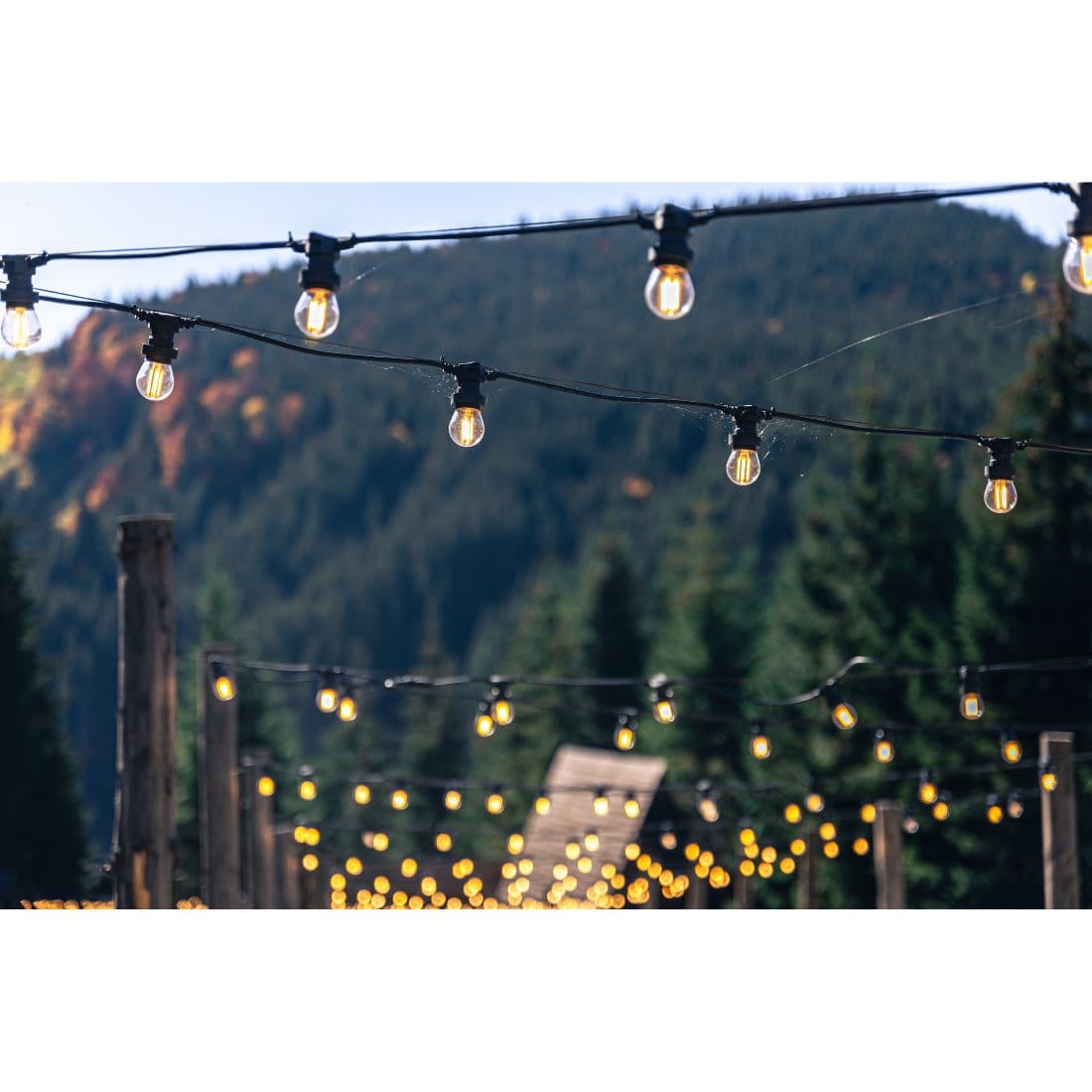 Festoon Lighting, image 2